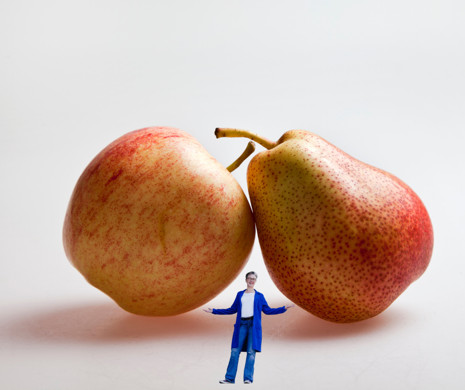 Ein Apfel und eine Birne als Sinnbild für falsches Vergleichen, davor die Autorin
