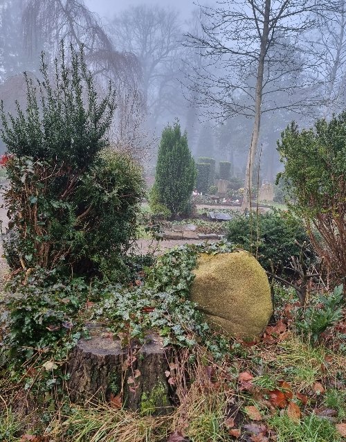 Drei Bilder an einem nebligen Morgen: ein Koppeltor, Bäume im Nebel, ein Friedhof