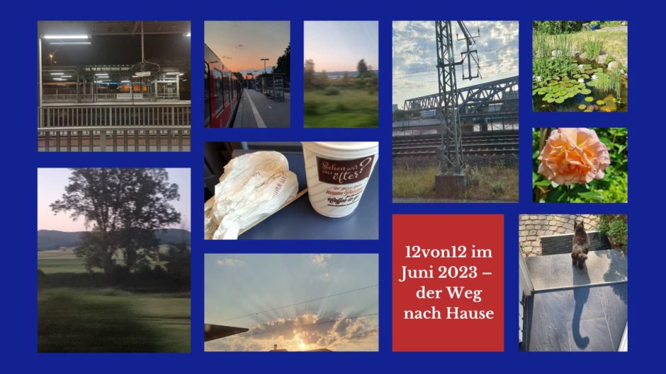 Eine Fotocollage auf blauem Hintergrund. Fotos einer Zugreise bei beginnendem Tageslicht, Garteneindrücke, ein Einwegbecher und eine Brötchentüte. Aufschrift 12 von 12 im Juni 2023: der Weg nach Hause