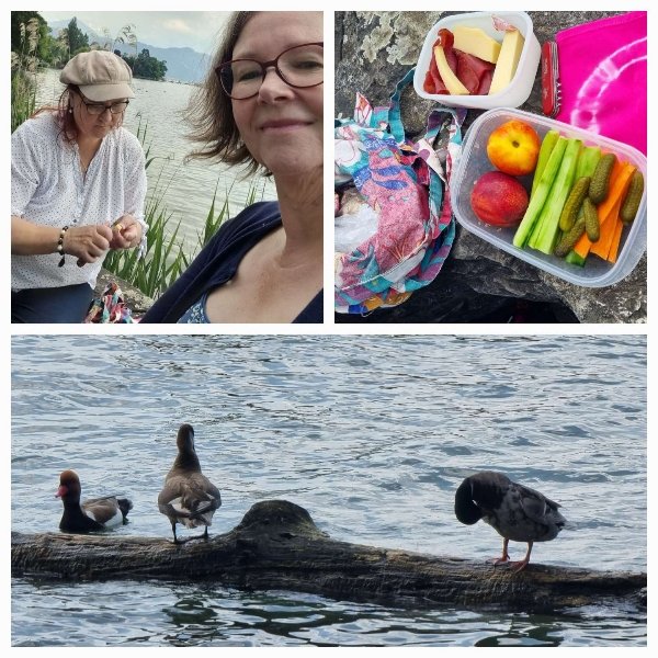 Eine Collage aus drei Bildern: zwei Frauen am Ufer des Sees, Picknickdosen und bunte Tücher, Enten auf einem Stamm