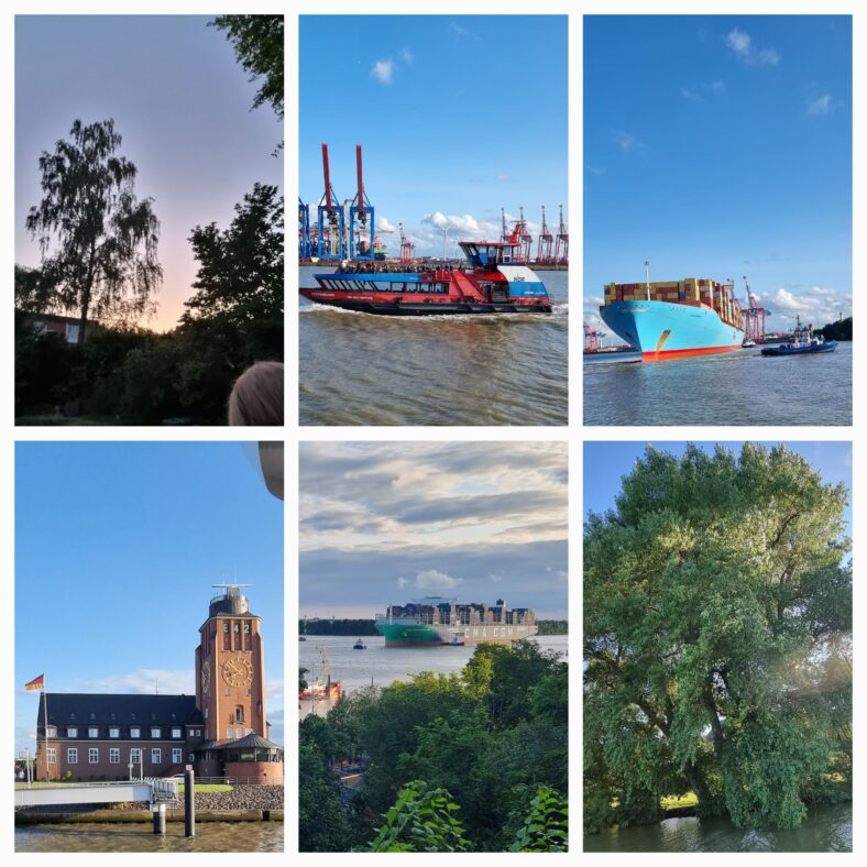Eine Collage aus sechs Bildern. Alle in der Nähe der Elbe aufgenommen. Abendhimmel, ein Baum am Wasser, Containerschiffe, das Lotsenhaus, eine Hafenfähre