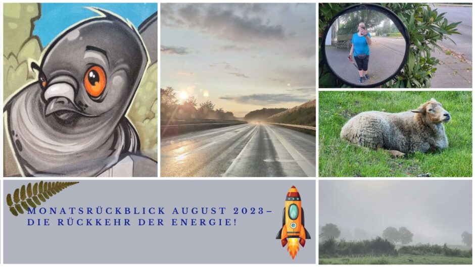 Eine Collage aus mehreren Bildern: Teil eines Graffito, das einen Vogel zeigt. Eine nasse Straße im Sonnenuntergang, eine Frau mit Walkingstöcken in einem runden Spiegel, ein Schaf, eine nebelverhangene Landschaft und die Schrift "Monatsrückblick August 2023 – die Energie kommt zurück!