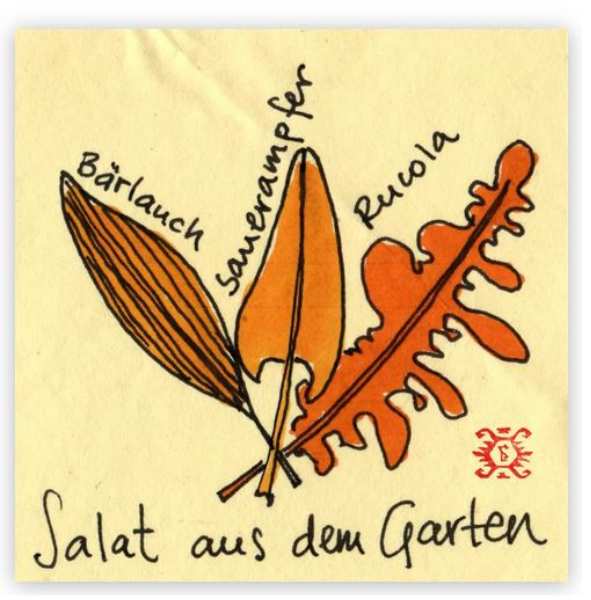 Drei Salatblätter, gezeichnet. Mit der Beschriftung Bärlauch, Sauerampfer, Rucola. Bildunterschrift: Salat aus dem Garten