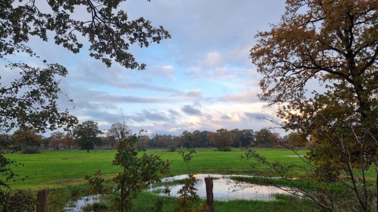 Eine menschenleeres Naturpanorama mit herbstlichem Himmel, einer zum Teich angewachsenen Pfütze und Bäumen. Es ist das Titelbild der Blogparade: Einsam oder allein