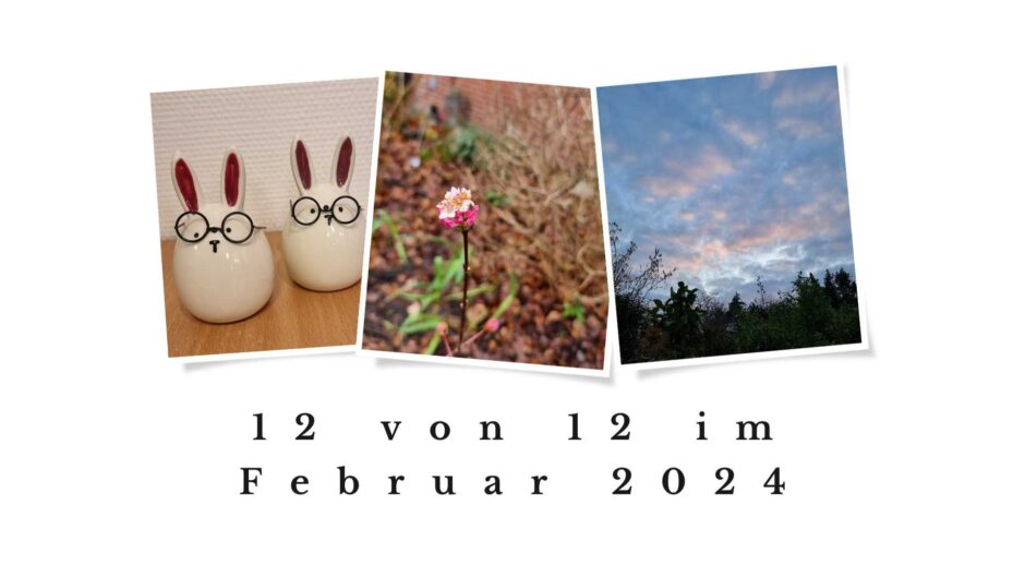 Eine Fotocollage mit drei Fotos aus dem 12 von 12-Artikel vom 12. Februar 2024: Keramik-Osterhäschen mit Brille, eine rosa Blüte und ein sehr schöner Abendhimmel.