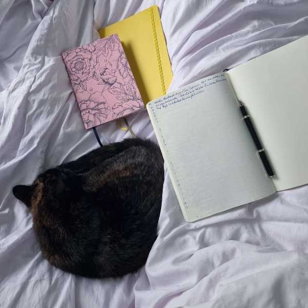 Notizbücher, ein Montblanc-Füller und eine Katze auf einem Bett.