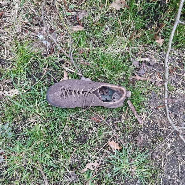 Ein brauner Schuh liegt im Gras am Wegesrand.