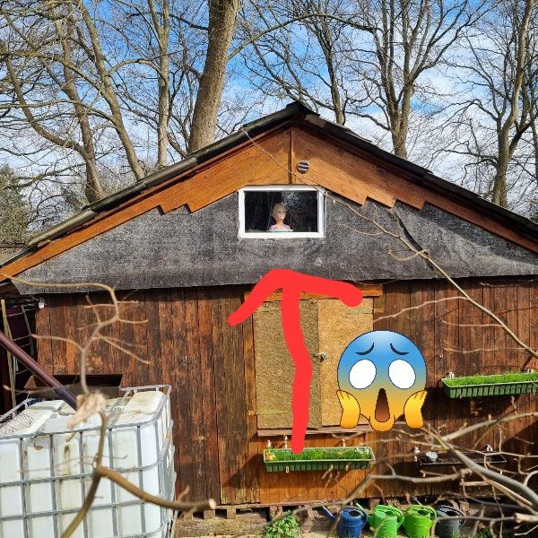 Ein Gartenhäuschen, bei dem im Fenster unterm Dach eine Puppe aus dem Fenster guckt. Auf dem Bild weisen ein roter Pfeil und ein entsetzter Emoji darauf hin, dass die Autorin das gruselig findet.