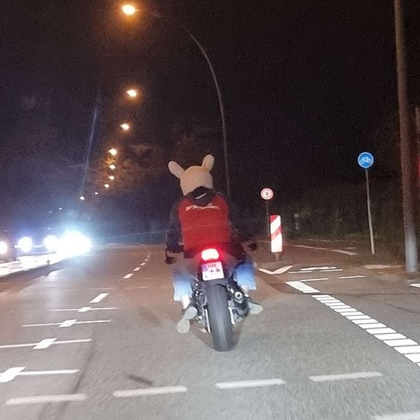 Abends auf einer Landstraße: ein Motorrad, auf dem ein Mensch mit roter Weste und einer Osterhasenmütze fährt.