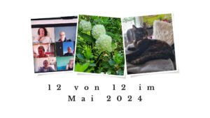 Eine Collage auf weißem Grund mit der Aufschrift "12 von 12 im Mai 2024". Drei Fotos von links nach rechts zeigen 1. sechs Frauen beim Zoom-Meeting, 2. eine weiß blühende Schneeballpflanze mit runden Blütendolden, 3. eine Katze auf einer zusammengefalteten Wolldecke.