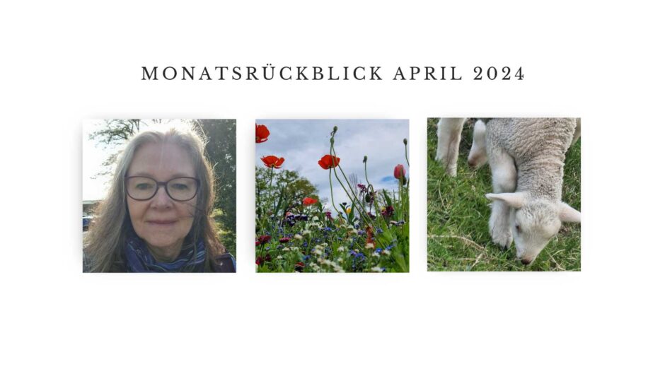 Eine Collage aus drei Fotos: ein Portraitfoto der Autorin, ein Blumenbeet in Kassel-Siebenbergen, ein Schaf auf Amrum. Auf weißem Hintergrund die Überschrift: Monatsrückblick April 2024.
