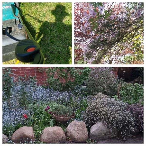 Eine Collage, drei Bilder. Der Schatten der Autorin auf dem Gras beim Rasenmähen, eine ausgedehnte Clematis in einem Baum, ein Blütenmeer in Blau hinter großen Findlingen.