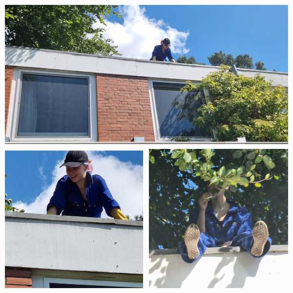 Eine Fotocollage aus drei Bildern: die Tochter der Autorin im blauen Arbeitsanzug mit Schirmmütze auf dem Dach, lachend, arbeitend.