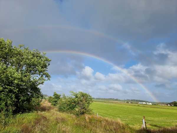 Zwei Regenbögen über einer weiten Wiese vor stürmischem Himmel, an der Seite einige Bäume.