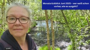 Eine Frau vor einem moorigen See in einem Birkenwald. Oben rechts ein blaues Banner mit der Aufschrift "Monatsrückblick Juni 2025 – wer weiß schon vorher, wie es ausgeht?"