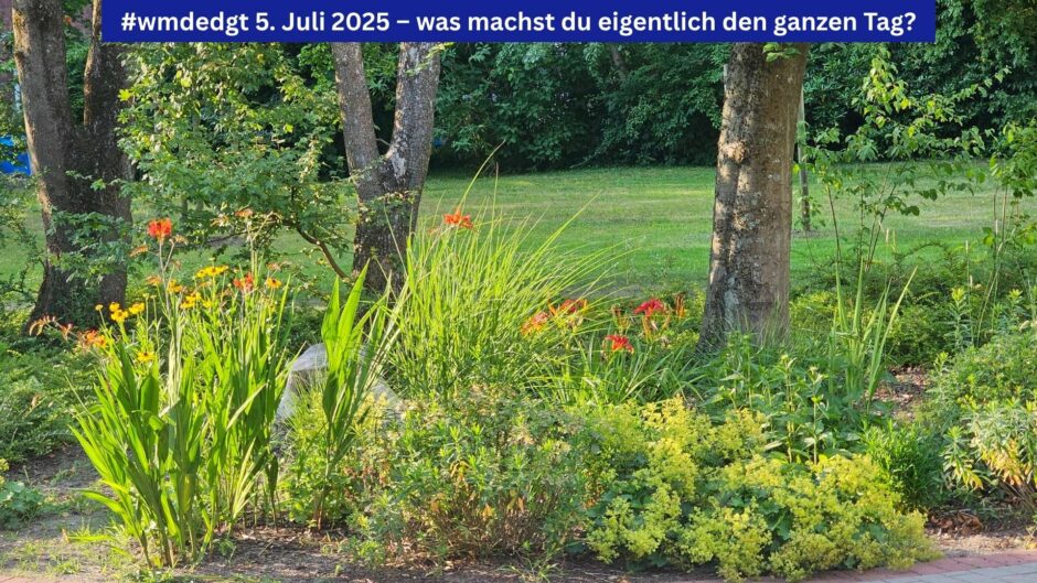 Eine Parkanlage, in der orange Monbretien blühen. Oben im Bild ein blaues Banner mit der Aufschrift: 'wmdedgt 5. Juli 2025 – was machst du eigentlich den ganzen Tag?