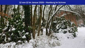 Eine Winterlandschaft mit kahlen Bäumen und viel Schnee, oben im Bild ein blaues Banner mit weißer Schriftf: 12 von 12 im Januar 2026 – Hamburg im Schnee