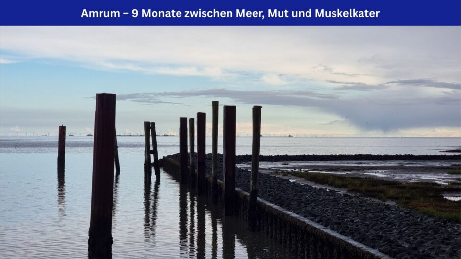 Spiegelglatte See, ein Anleger, Pfähle im Nordseewasser, ein pastellfarbener Himmel. Oben im Bild ein blaues Banner mit weißer Aufschrift: Amrum – 9 Monate zwischen Meer, Mut und Muskelkater